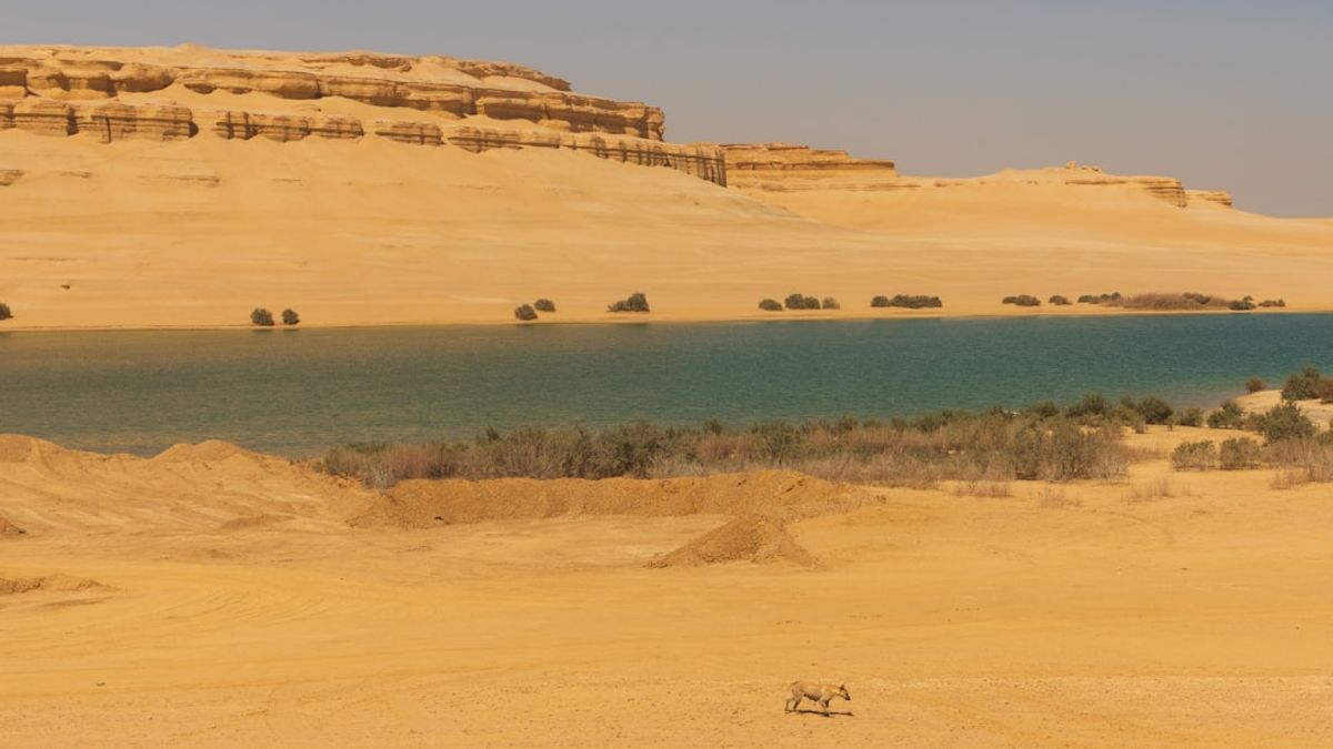 Algunos investigadores creen que estas galerías podrían haber sido acueductos sagrados, utilizados para ceremonias destinadas a invocar lluvias en un clima árido.