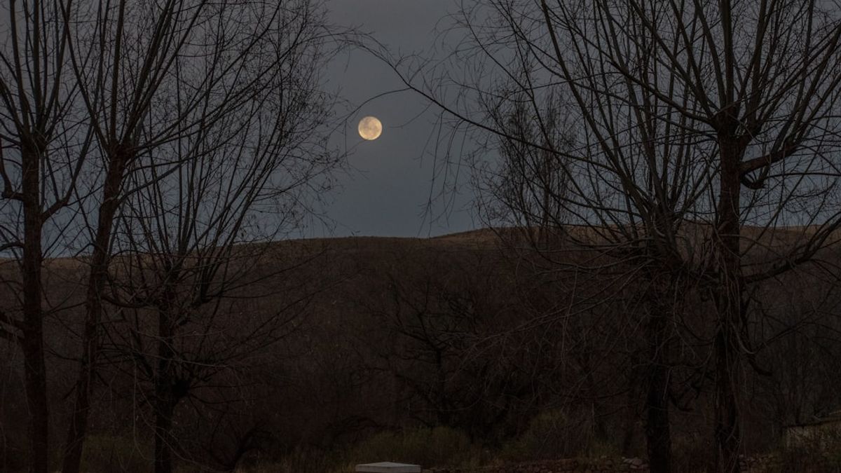 Recuerdo una noche en particular cuando estaba con un grupo de amigos explorando un viejo cementerio bajo la luz de la Luna llena.