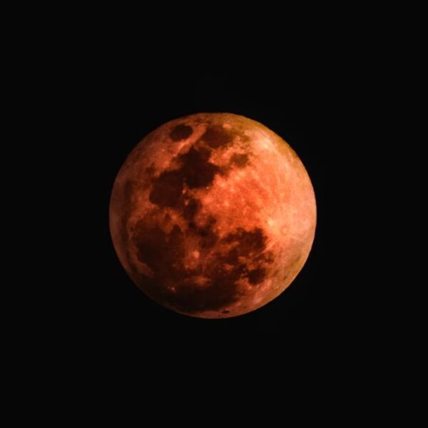 Una luna llena brillante iluminando un paisaje misterioso, sugiriendo una conexión con lo paranormal.