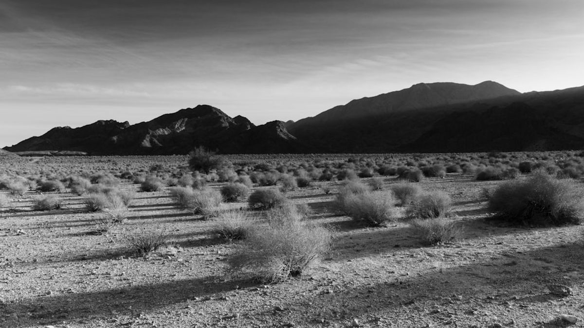El rancho Skinwalker, ubicado en el remoto estado de Utah, Estados Unidos, ha sido durante décadas el epicentro de fenómenos paranormales que desafían toda lógica.