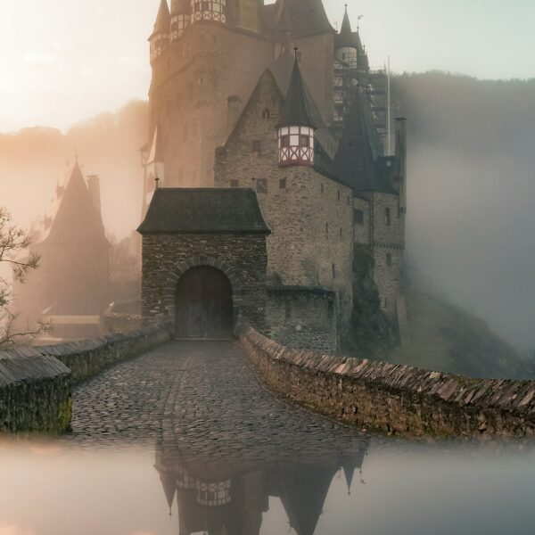 Bosque misterioso envuelto en niebla, evocando el habitat de criaturas criptozoologicas