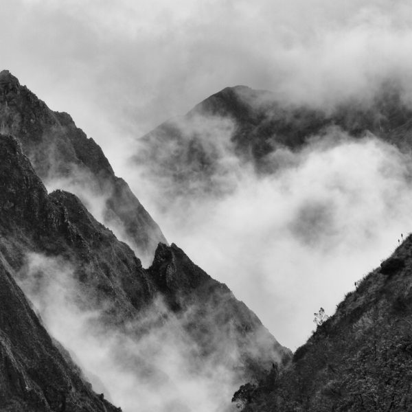 Criptozoología andina: criaturas legendarias entre los nevados