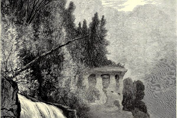 haunted forest fog (foto: Internet Archive Book Images / No restrictions, Wikimedia Commons)