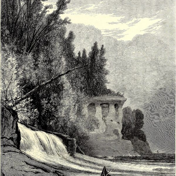 haunted forest fog (foto: Internet Archive Book Images / No restrictions, Wikimedia Commons)