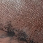 El monstruo del lago Ness: entre el mito y la ciencia