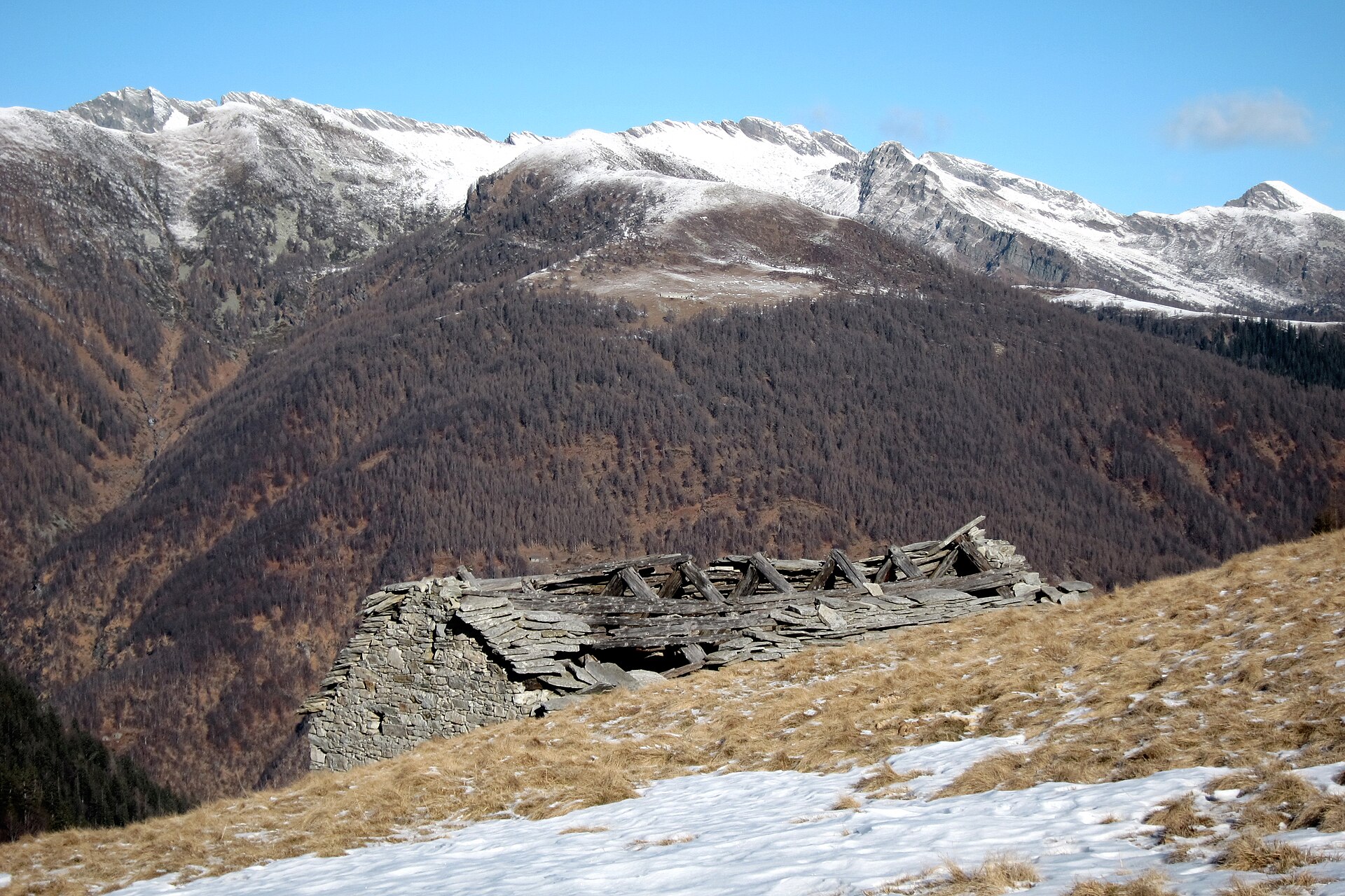 Pastizal de montaña con bloques de caliza sueltos y hierba corta al pie de una pared rocosa