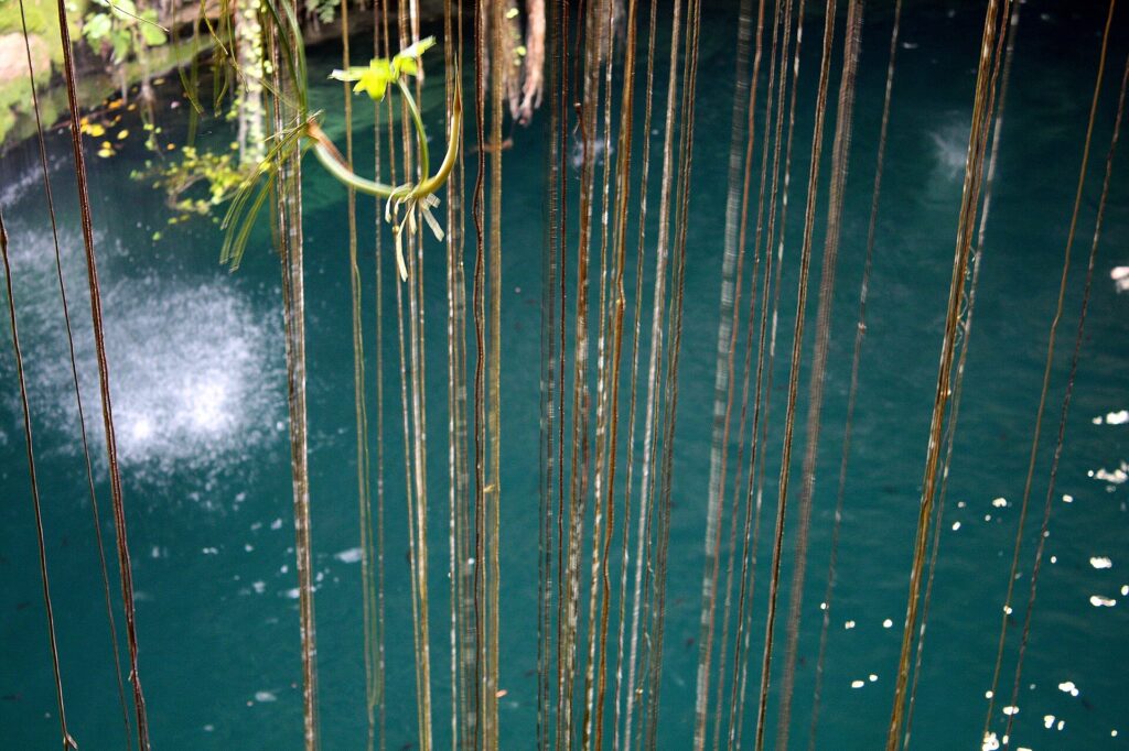 Boca circular de un cenote rodeada de selva con agua clara en el fondo