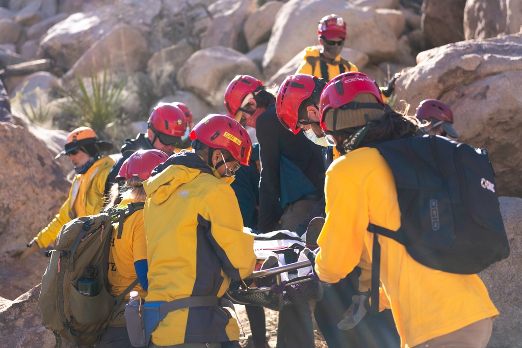 Miembros de un equipo de rescate avanzan en línea por una ladera boscosa