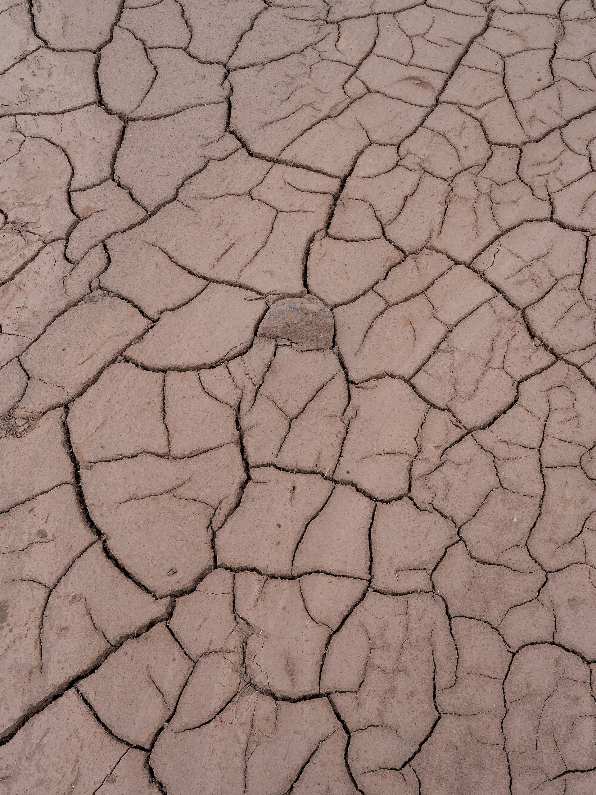 cracked dry lake bed