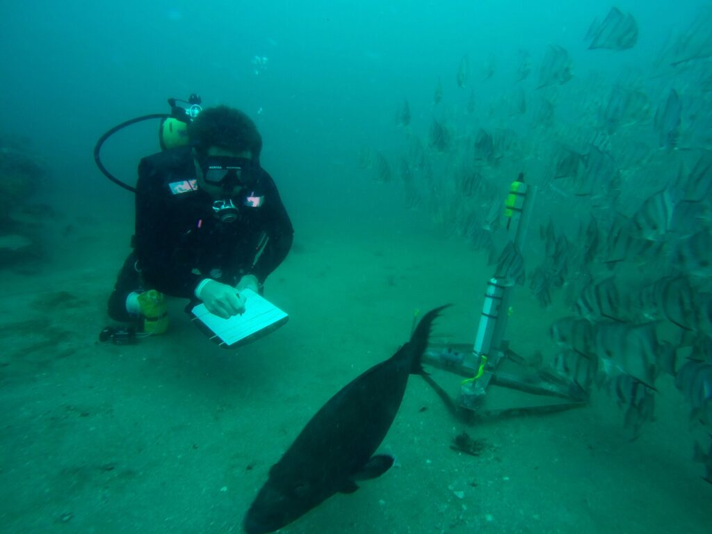 Equipo de escucha submarina con cable y carcasa metálica listo para ser fondeado