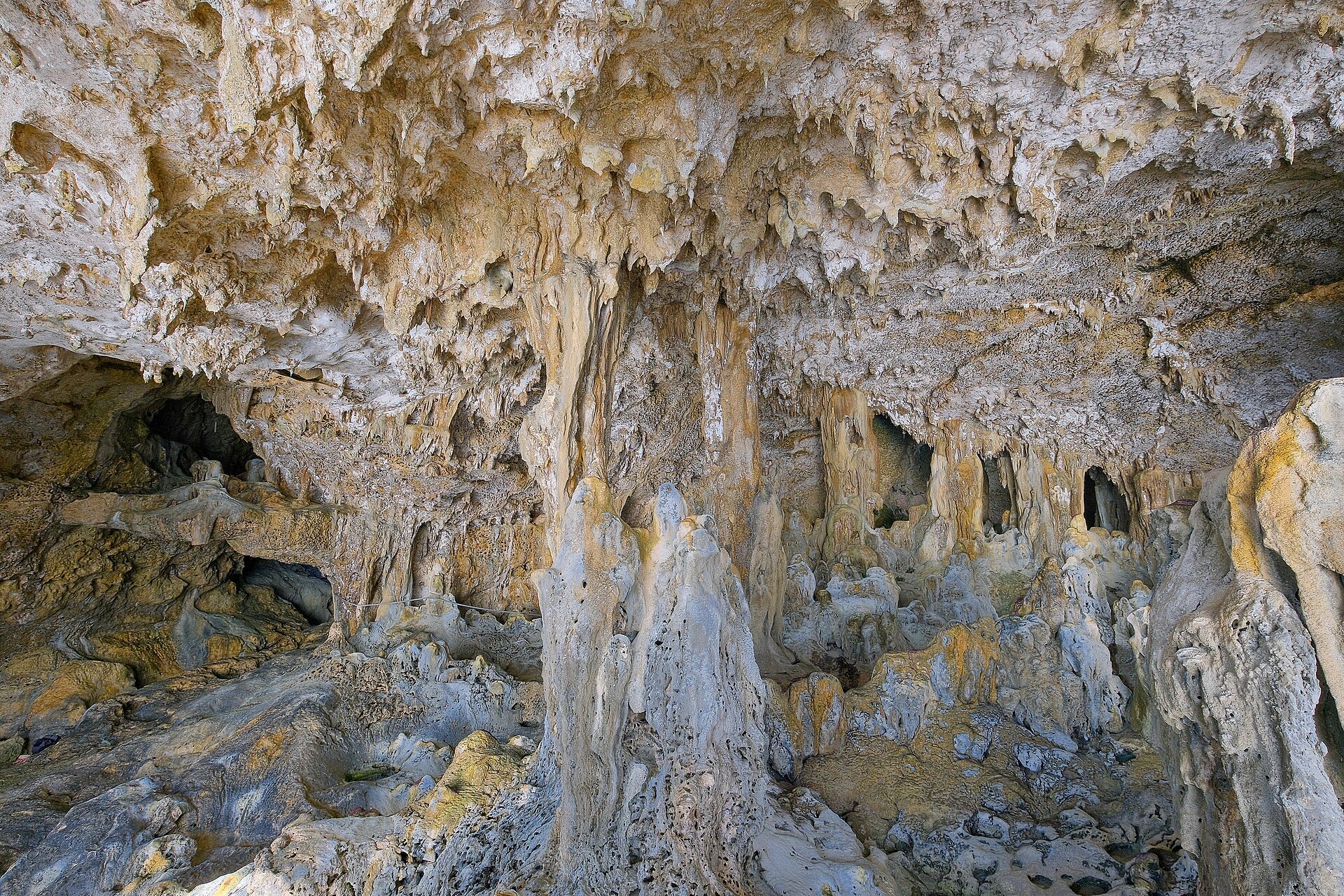 Boca de una cueva de caliza con bóveda amplia y vegetación colgando sobre la entrada